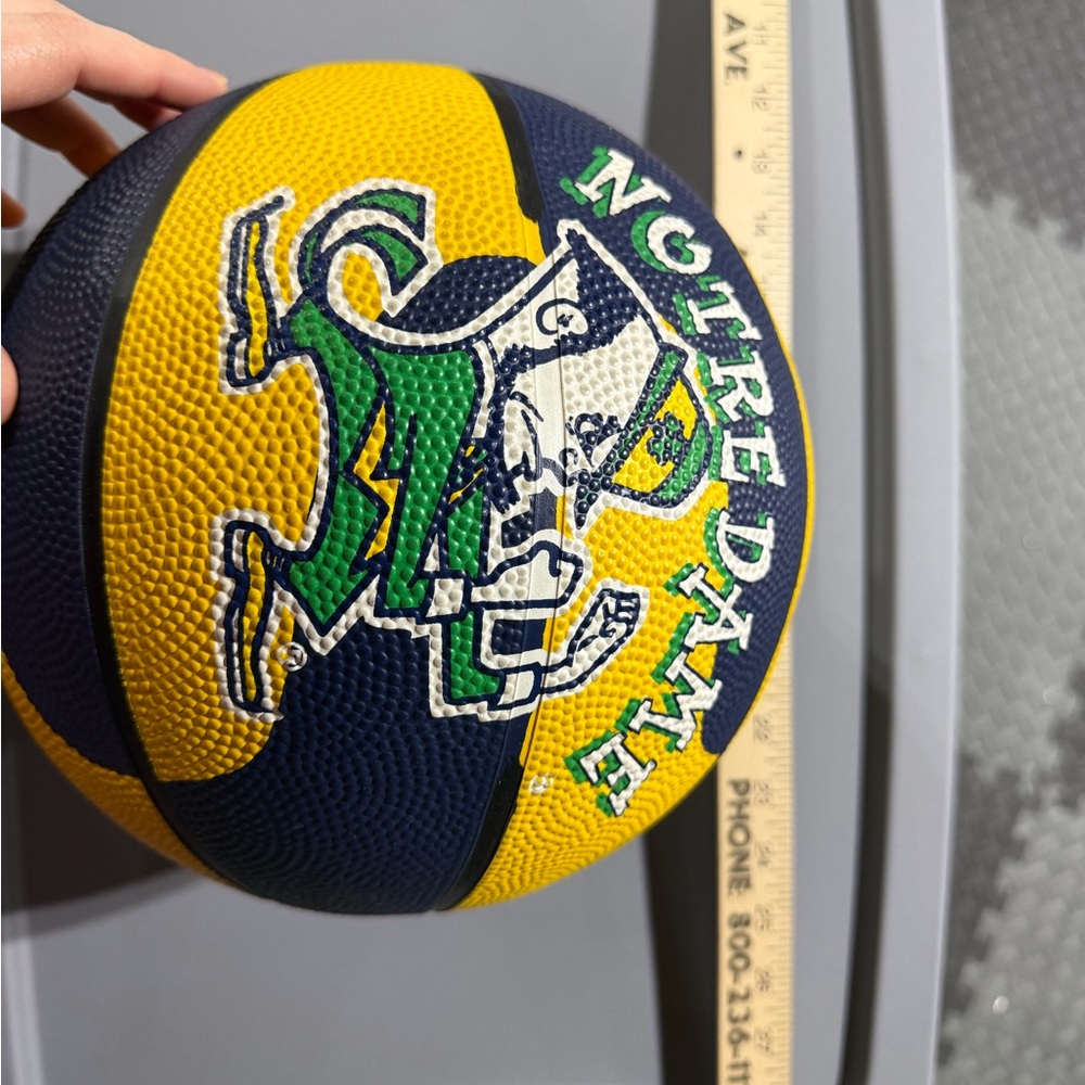 Notre Dame Fighting Irish Basketball from 2000s